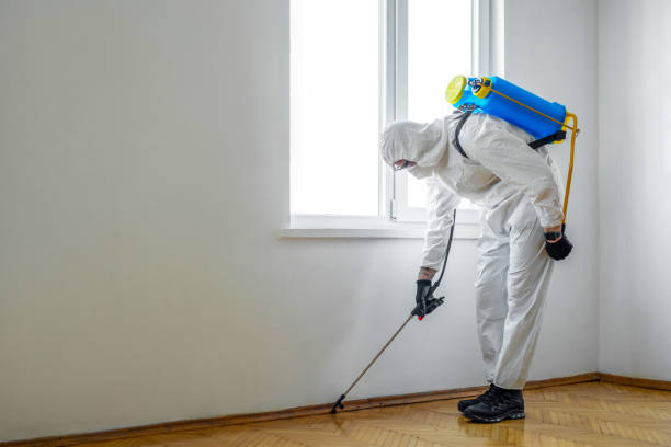 Best Affordable Pest Control Services  in , WA