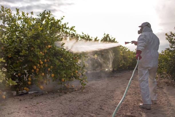 Best Pest Control Near Me  in , WA