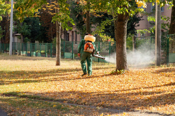 Best Local Pest Control Services  in , WA